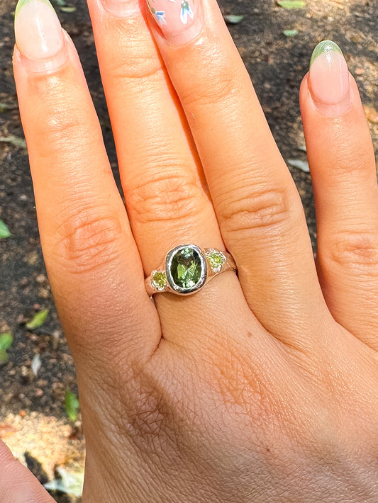 Olive SIZE 53 1/2 (N)