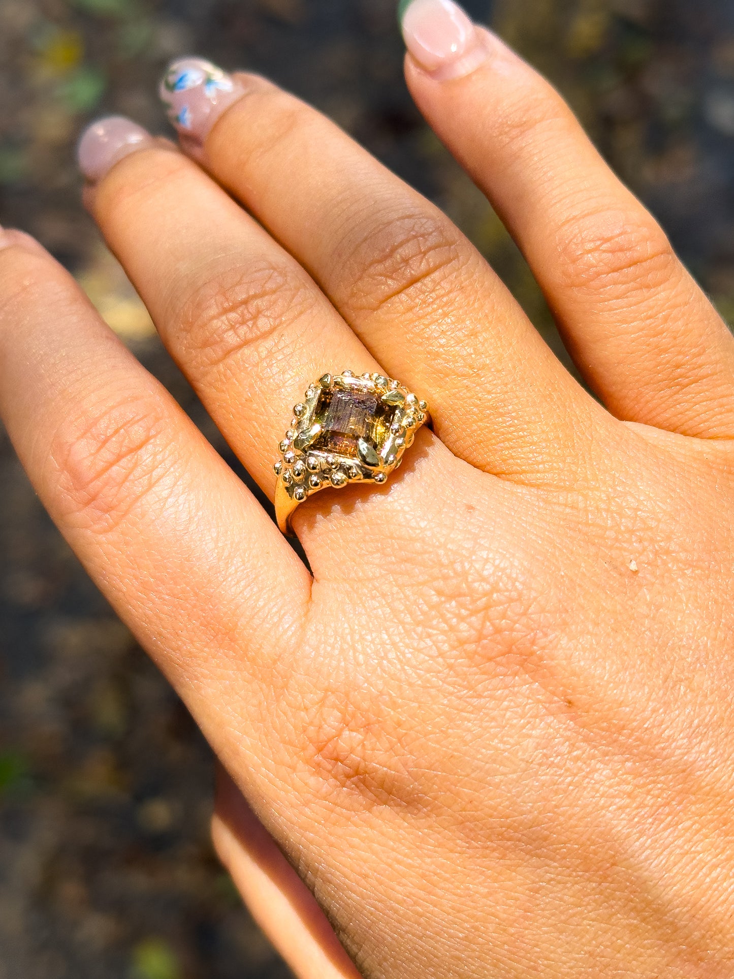 Chocolate Cosmos SIZE 53 (M1/2)