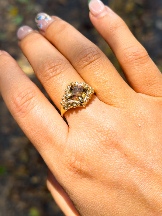 Chocolate Cosmos SIZE 53 (M1/2)